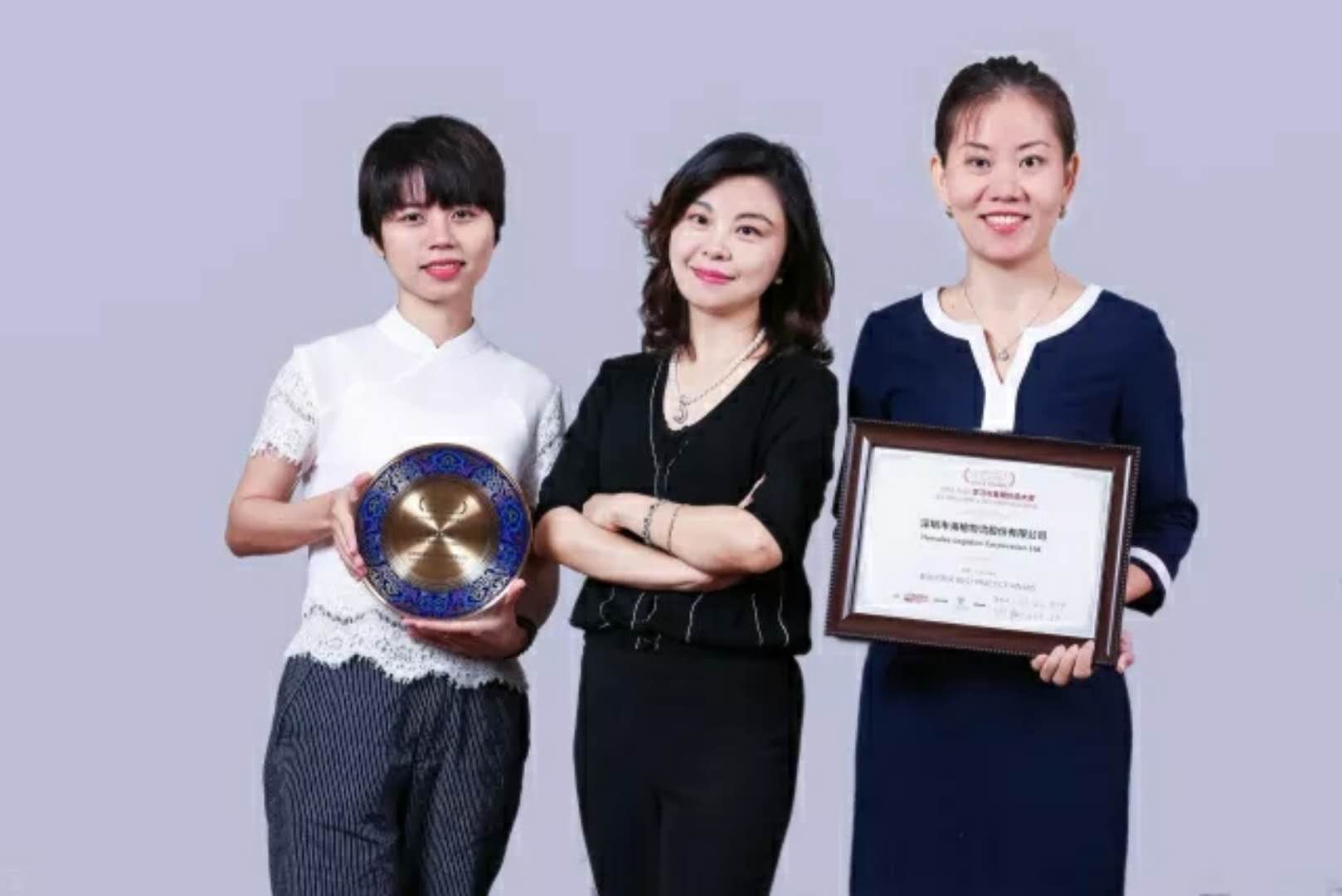 海格物流荣膺2018中国学习与发展价值大奖之“最佳实践奖” 海格物流荣膺2018中国学习与发展价值大奖之“最佳实践奖”