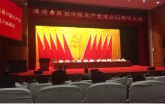 公告：盐田区非公经济组织党委批复同意海格物流成立企业党委、纪委